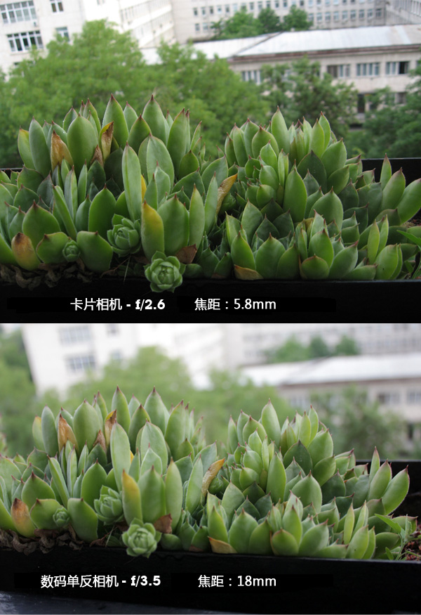 在360度全景攝影里，影響景深的因素